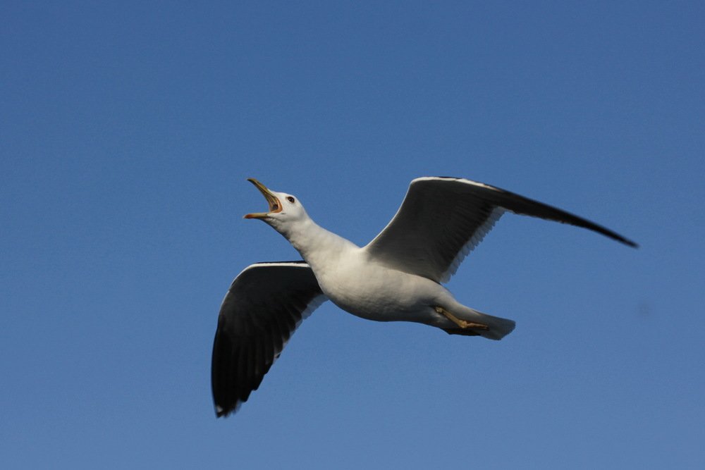 Photograph by Лада Денисова