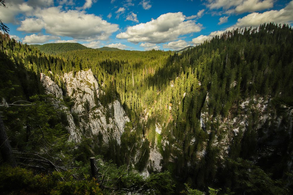 Lost in the mountains