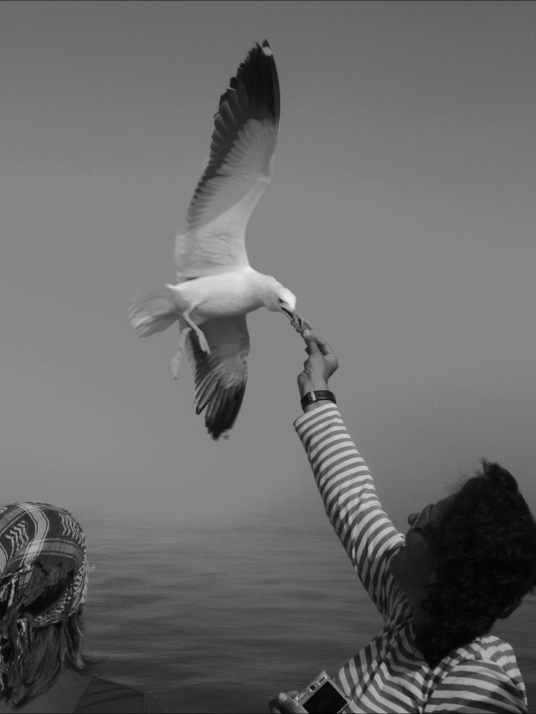 Photograph by Николай Шумилов