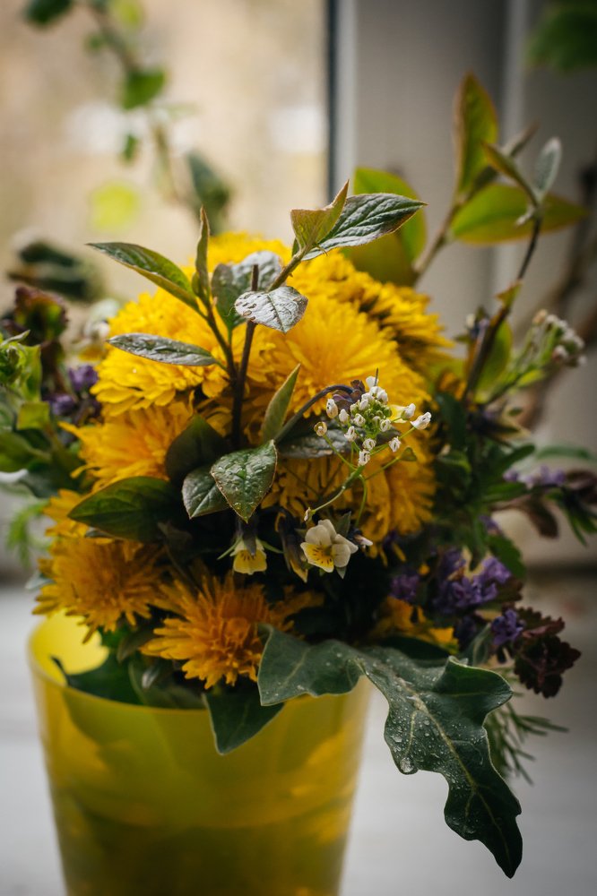 Photograph by Ольга Снадина