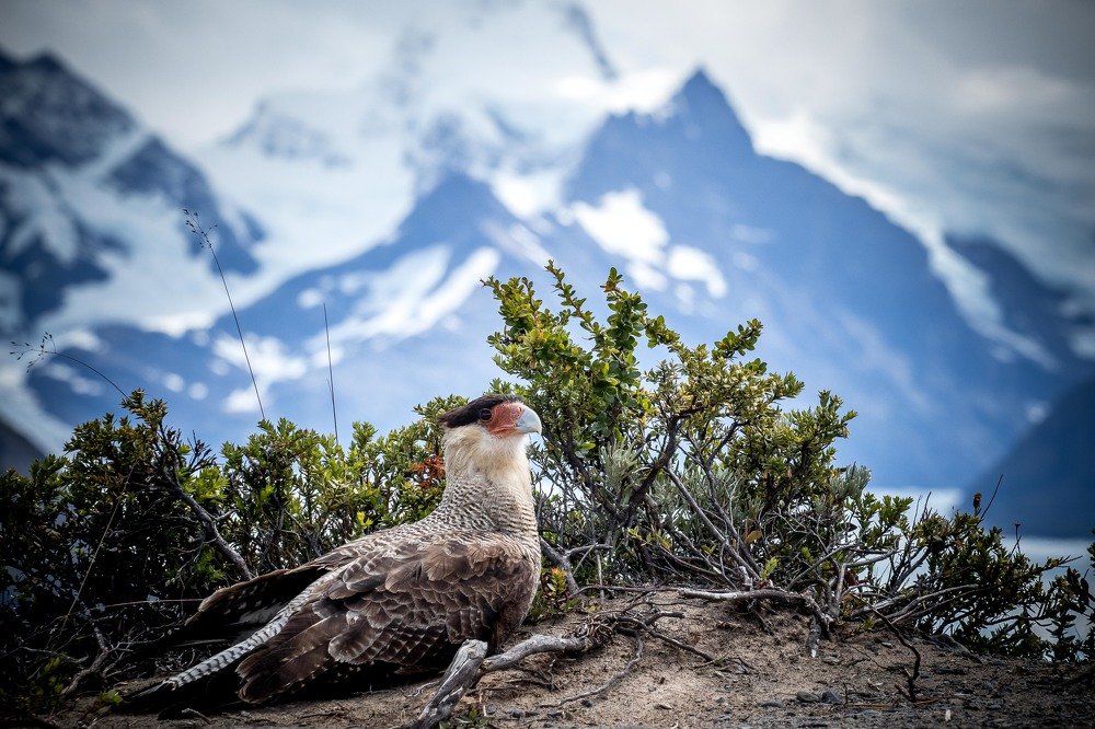 Photograph by Dmitry Skatov