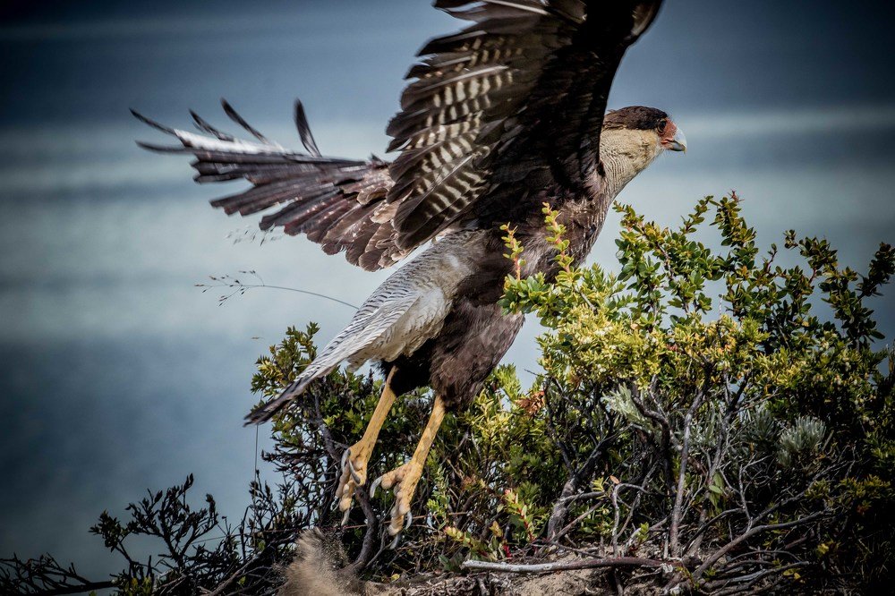 Photograph by Dmitry Skatov