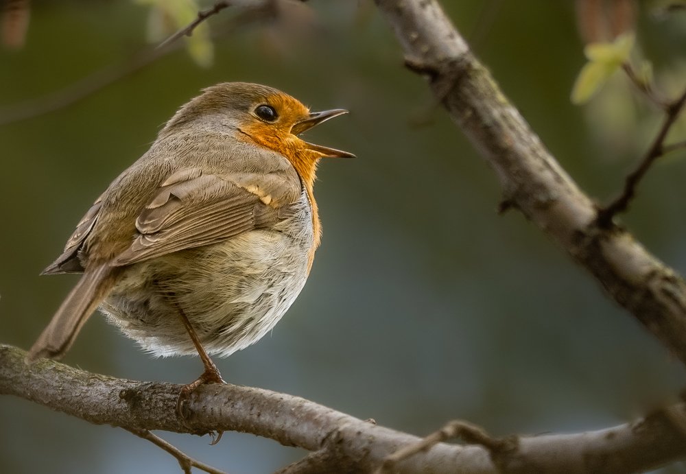 Photograph by Курлянцев Алексей