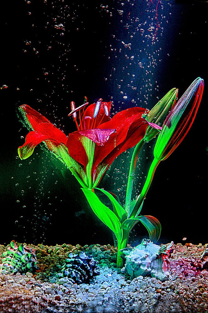 Photograph by Luis Fernando De Leo