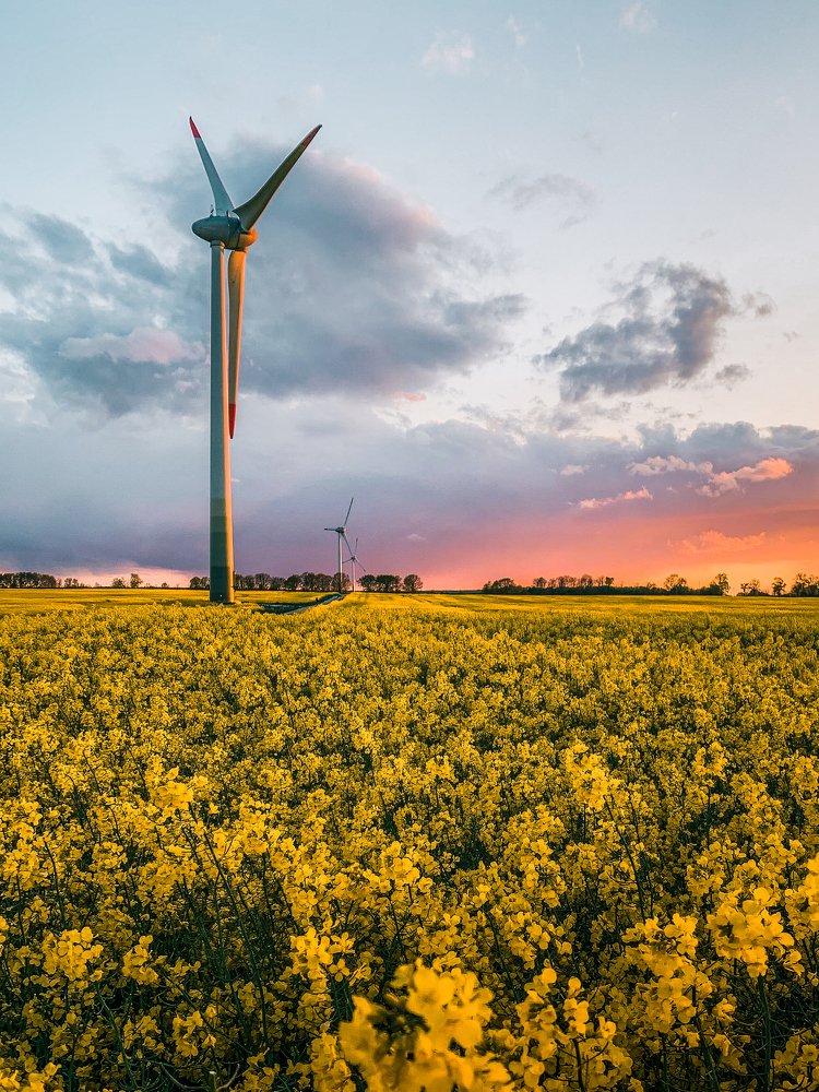 Photograph by Руслан Кабиров