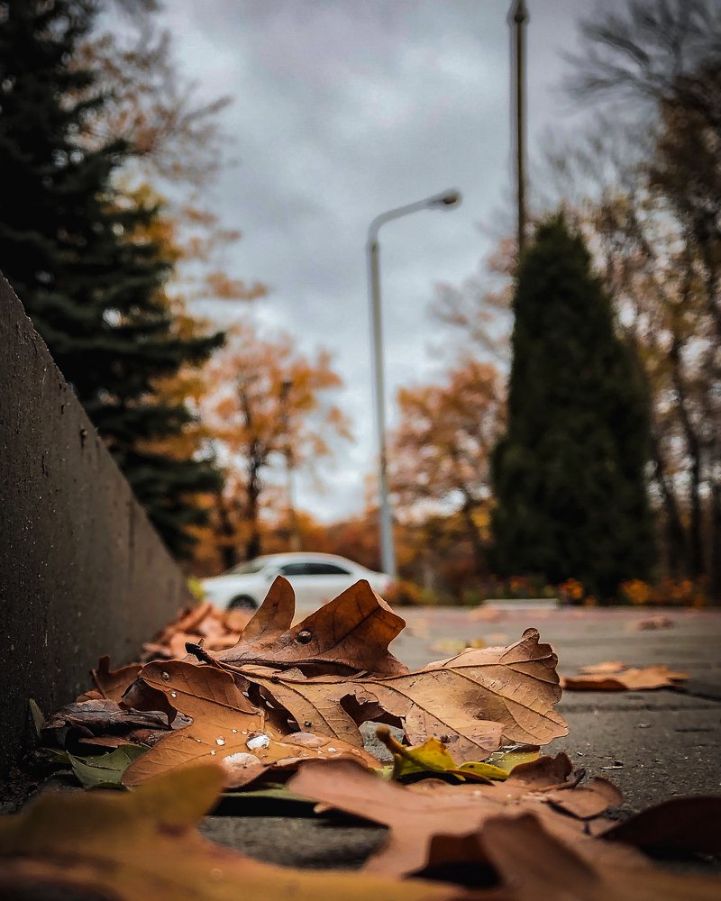 Photograph by Максим Карпов