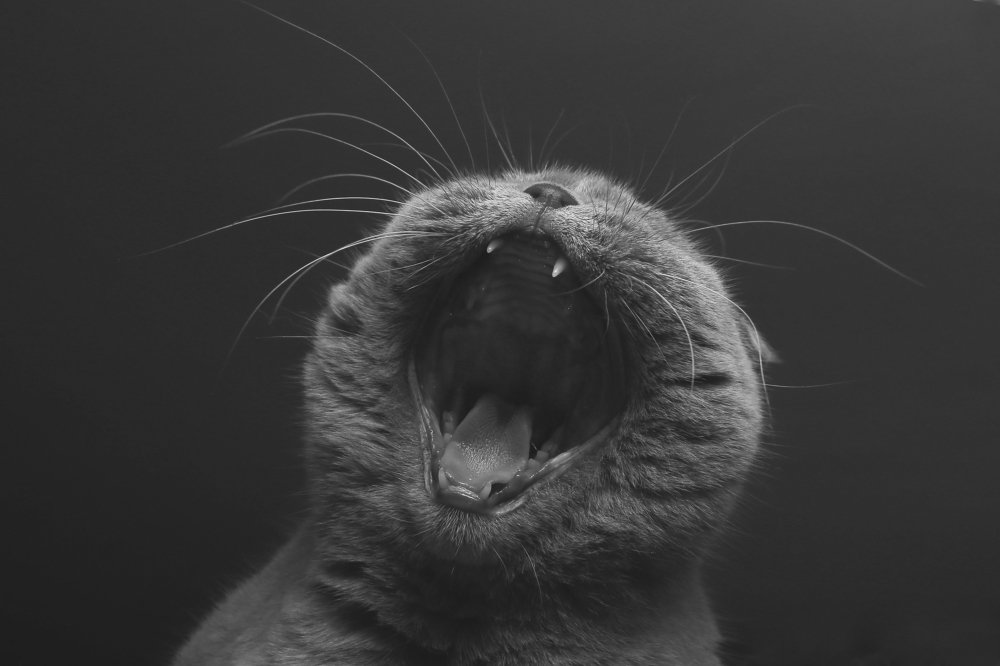 Photograph by Михаил