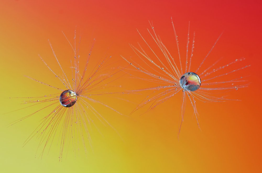 Photograph by Виктор Чернюк