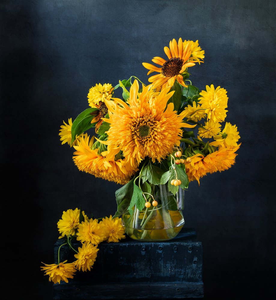 Желтые цветы лета