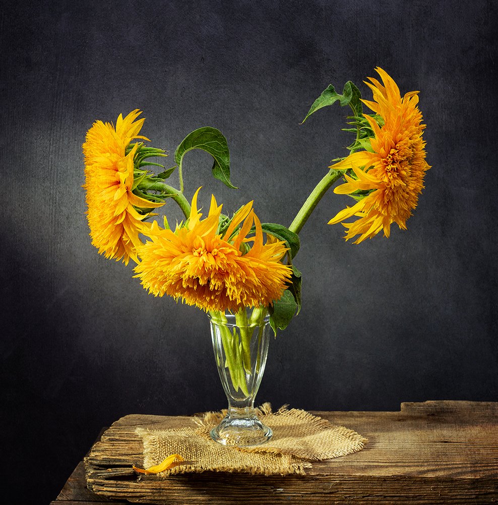 Подсолнухи