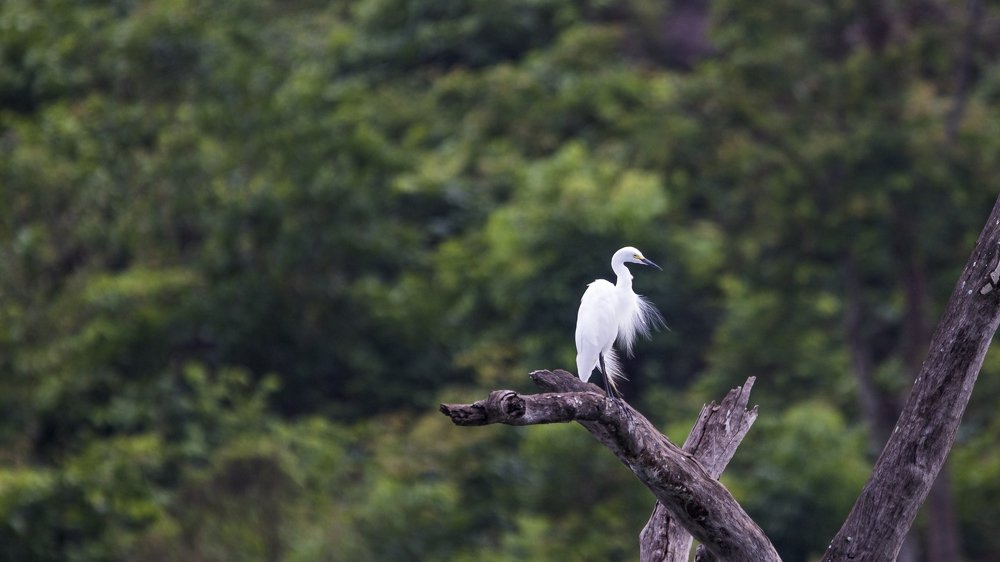 Photograph by Santhosh GVN