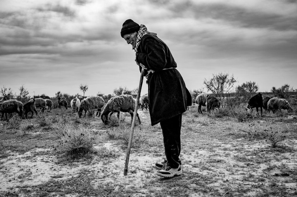 Фотография автора Morteza Sadeghi