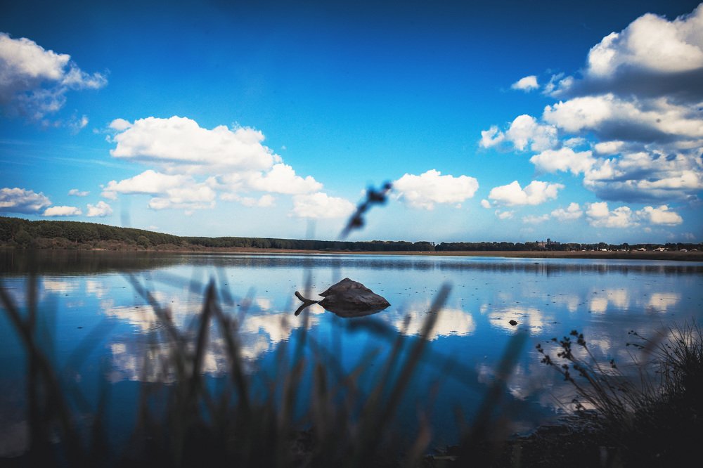 Photograph by Роман Воробьев