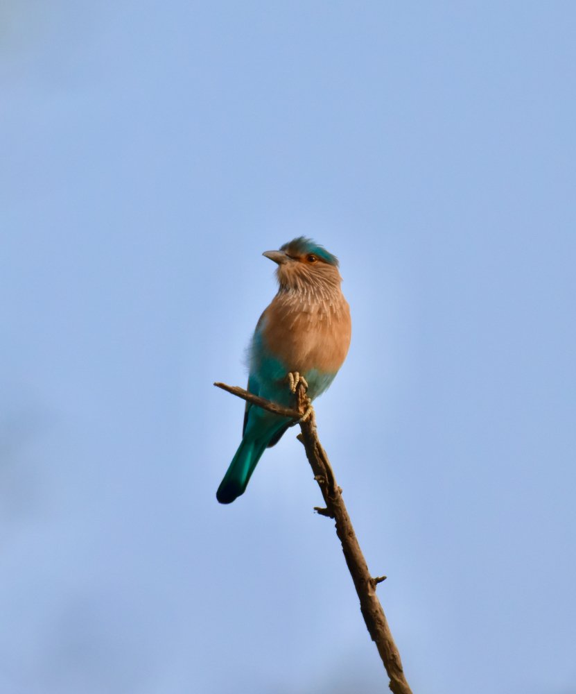 Photograph by Rishay Madan