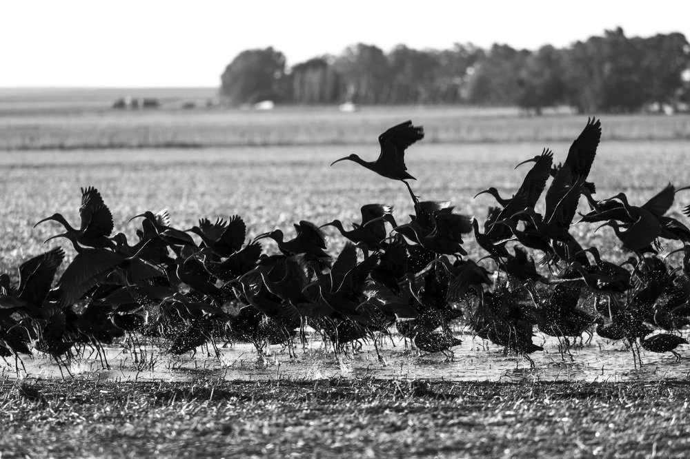 Photograph by Lucia Ana Juárez