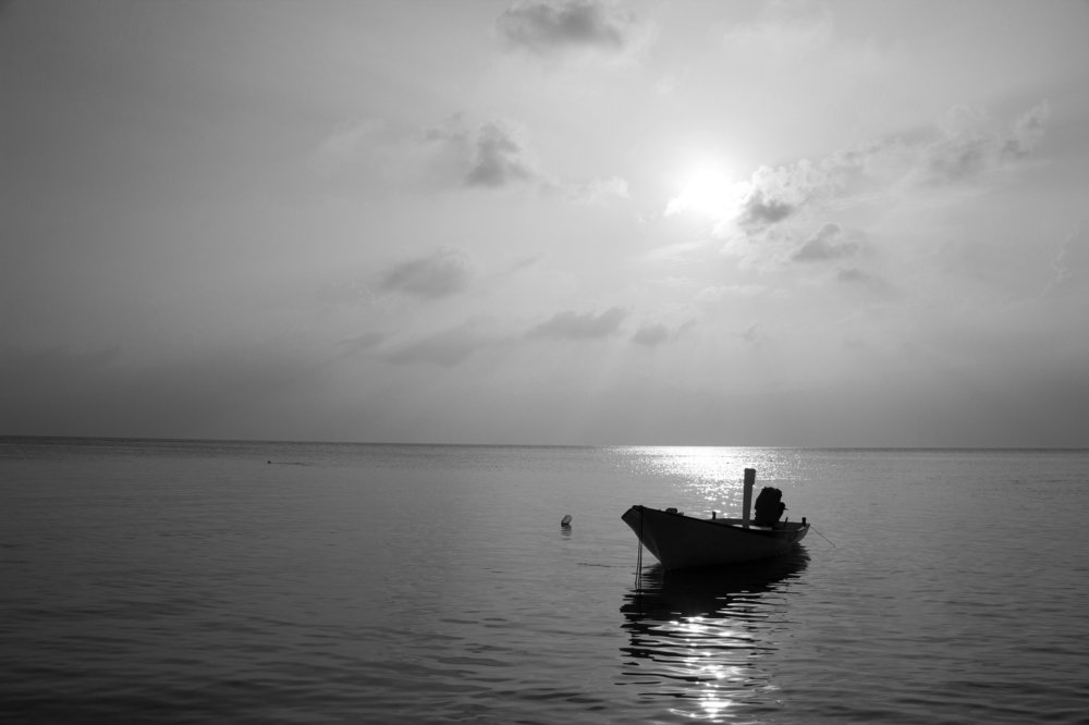 Photograph by Anna Gapanovich