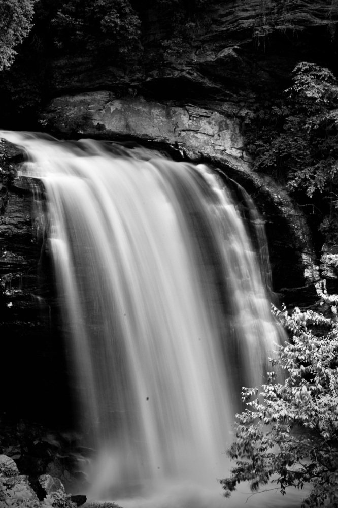 Photograph by Rishay Madan