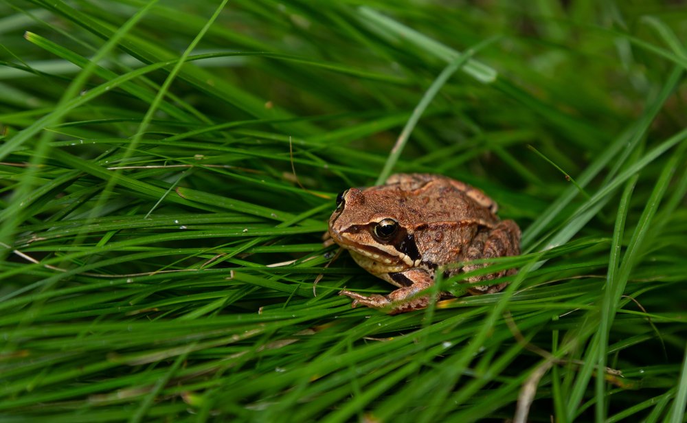 Photograph by Марина Новожилова
