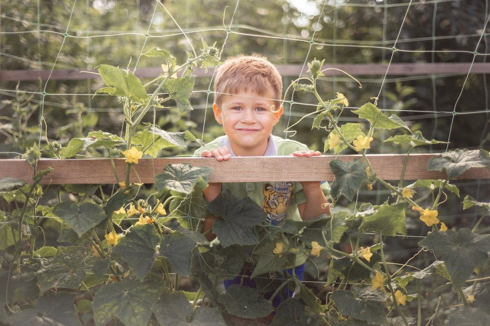 Photograph by Олеся