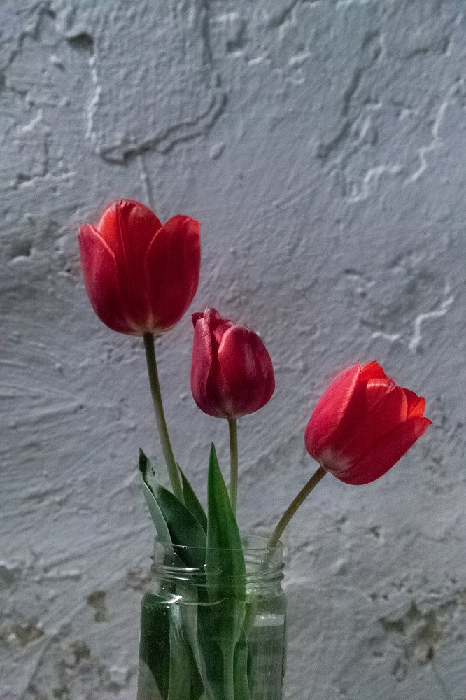 Фотография автора Ivelina Petkova