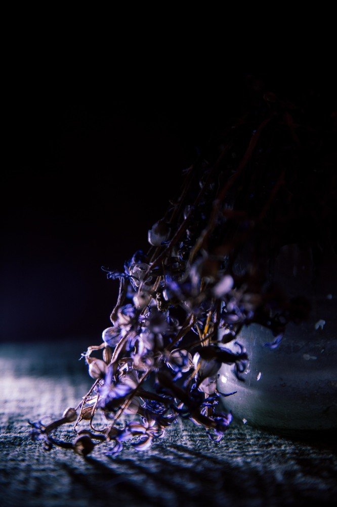 Фотография автора Ivelina Petkova