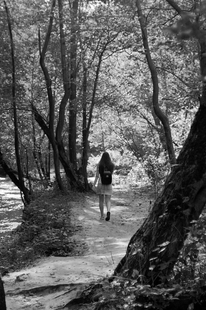 Алиса в стране чудес.