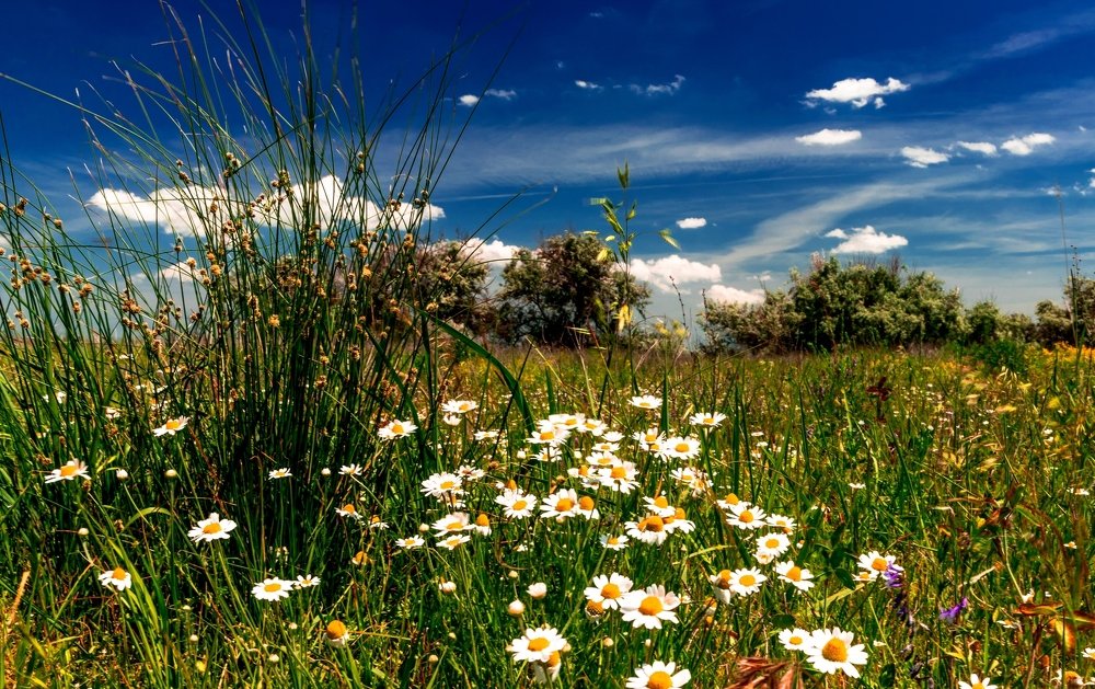 Photograph by Галина Суркова