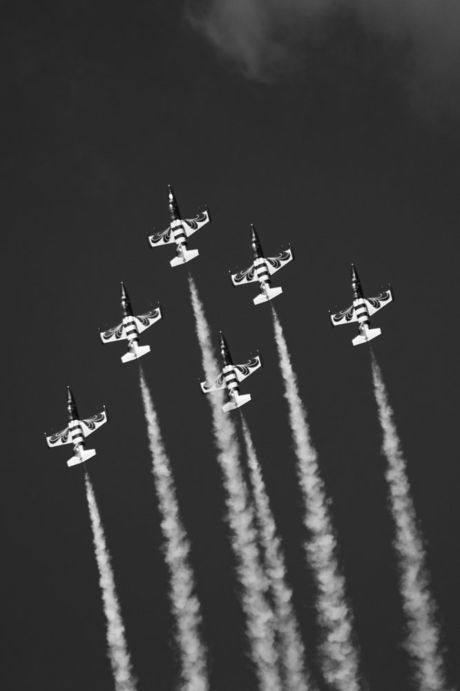 Baltic Bees at BIAS 2019