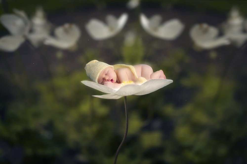 Спящий гномик