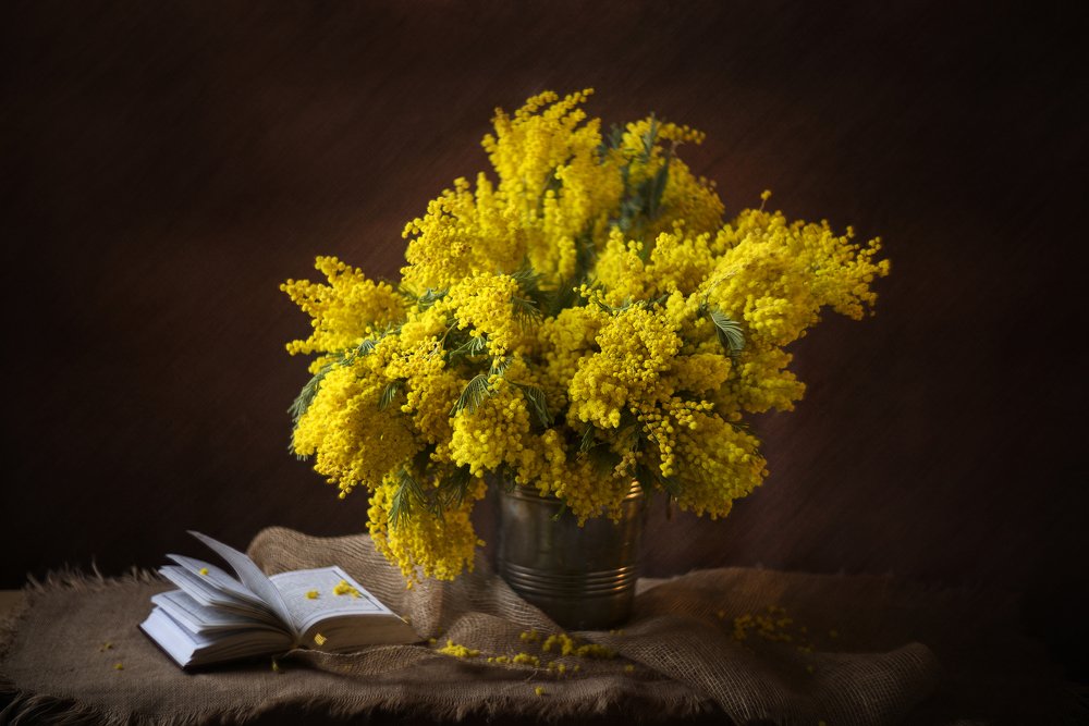 Мимозы и холст