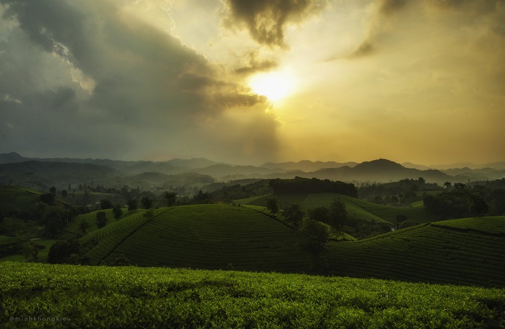 Photograph by Khổng Kiều Minh