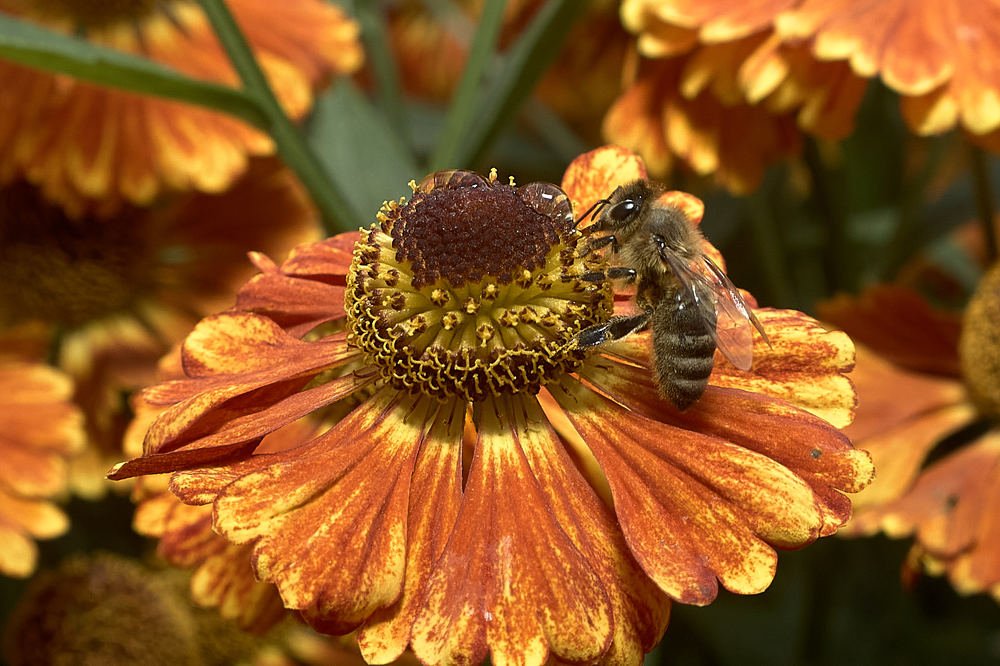 Photograph by Виктор Ноговицин