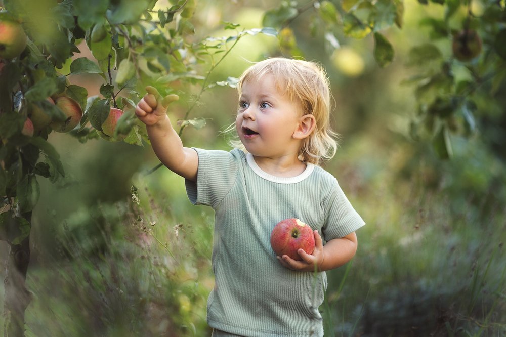 Photograph by Anna Chizh