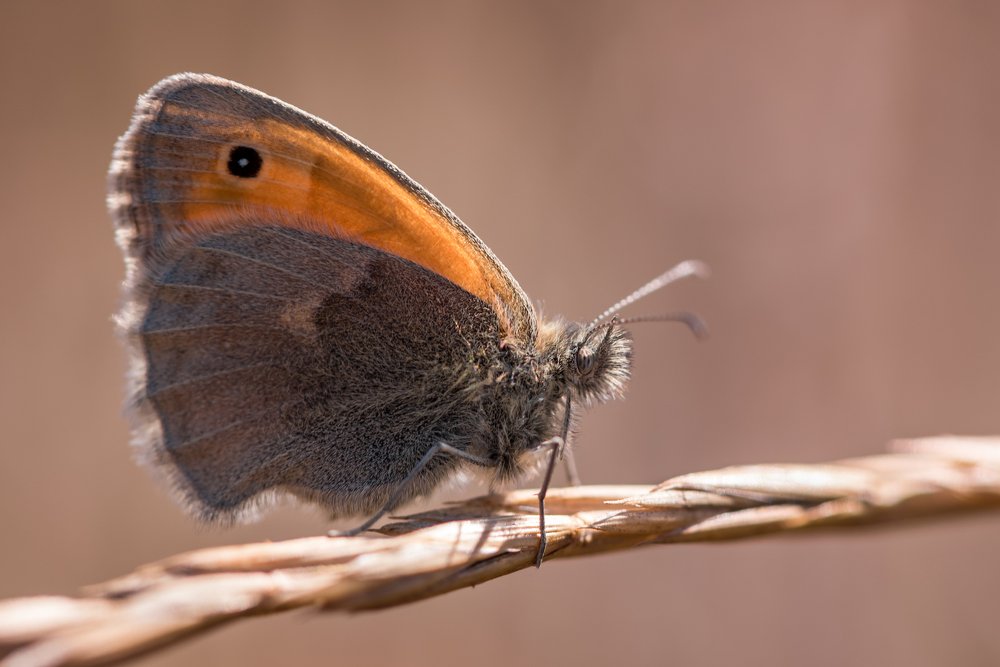 Photograph by Сергей Тригуб