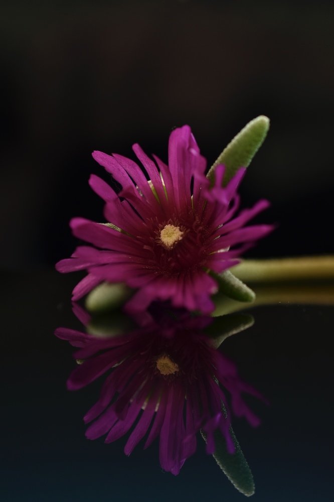 Photograph by Natasa Brkic