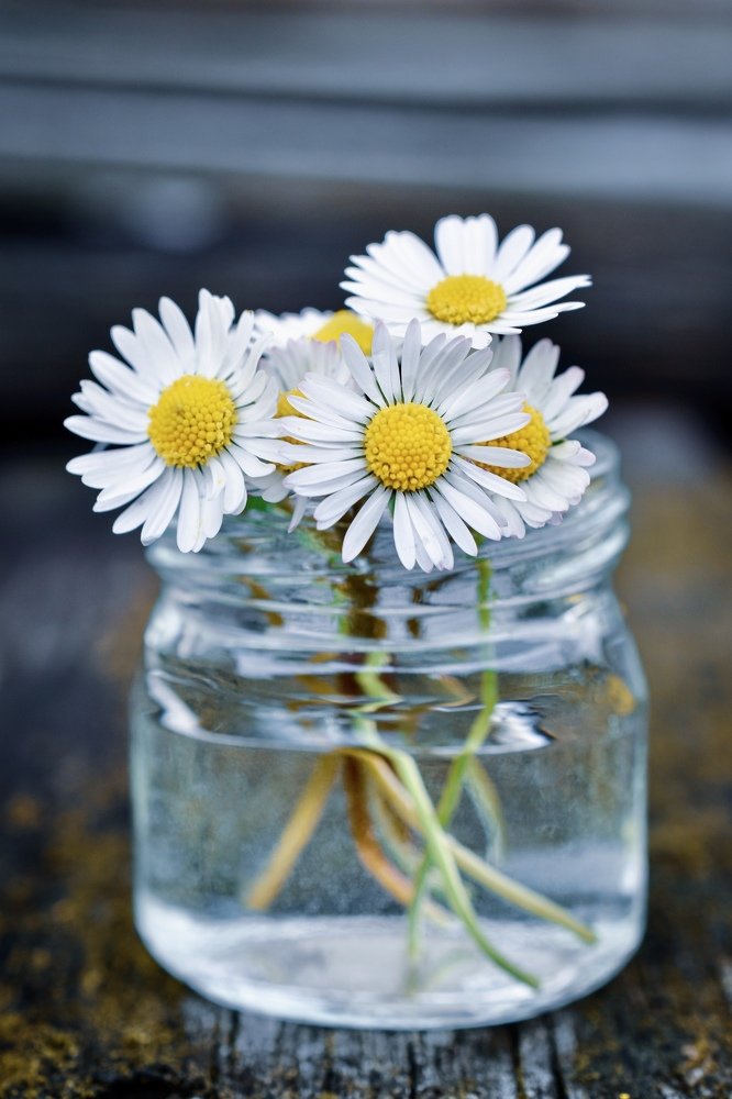 Photograph by Natasa Brkic