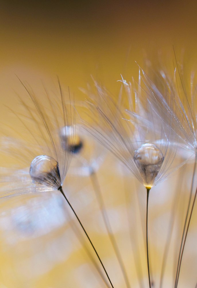 Photograph by Natasa Brkic