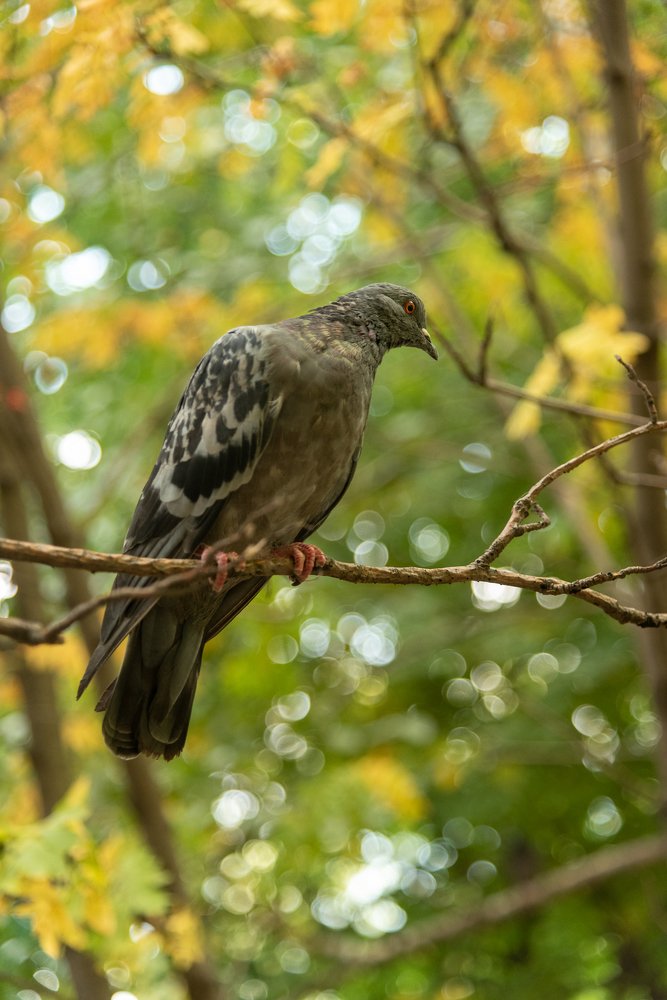 Photograph by Полина Кожухарь