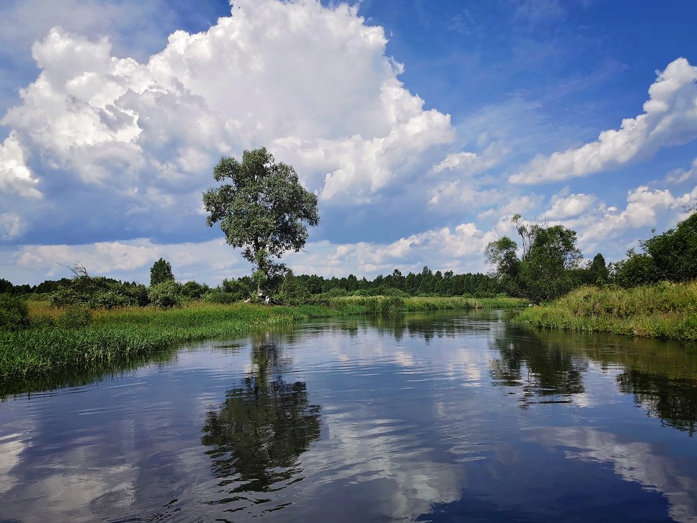 Photograph by Дмитрий Рассыльщиков