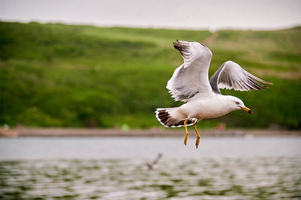 Photograph by Александр Хижняк