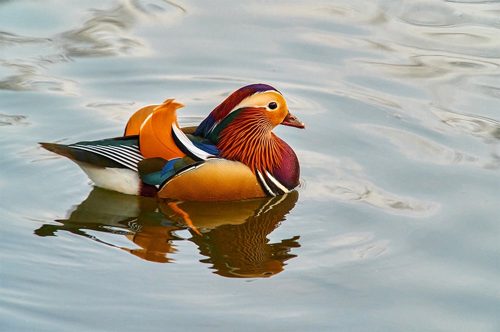 Photograph by Александр Хижняк