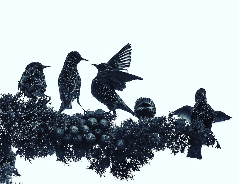 Photograph by Serge Melesan