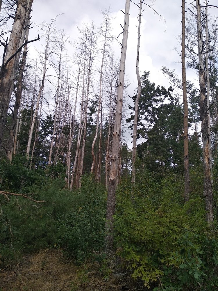 Photo #4918691
