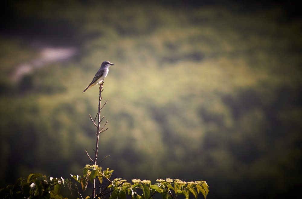 Photograph by Marcial Comerón