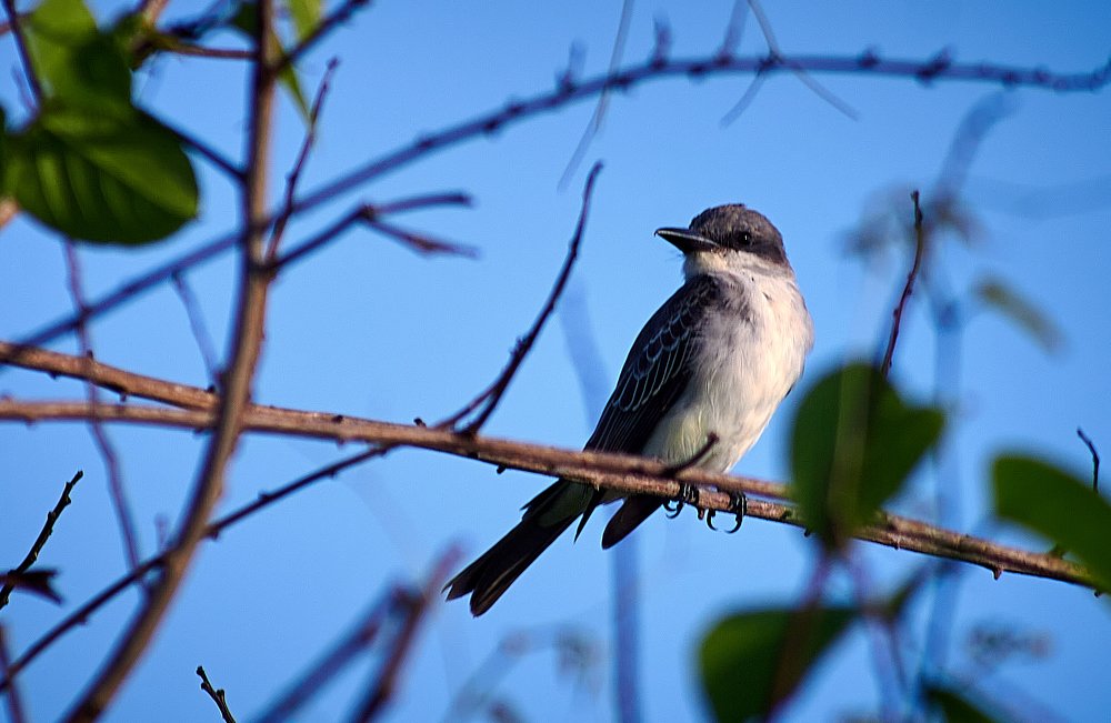 Photograph by Marcial Comerón