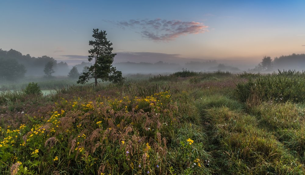 Photograph by Евгений Патрешов