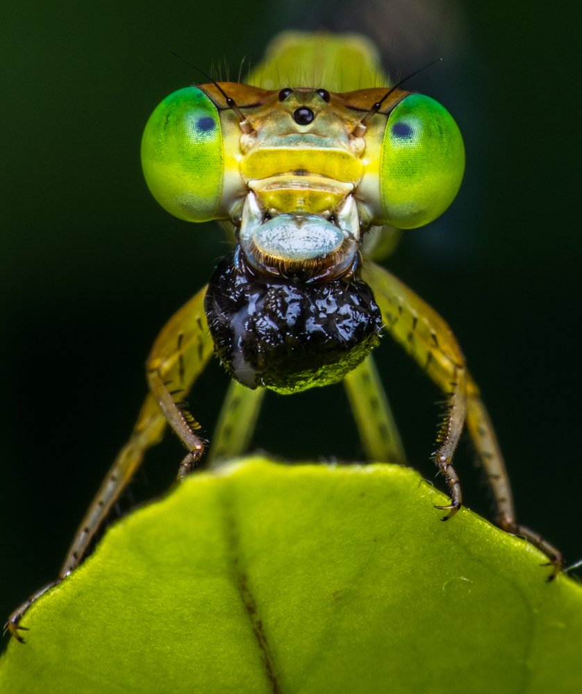 Photograph by Monojit Koley