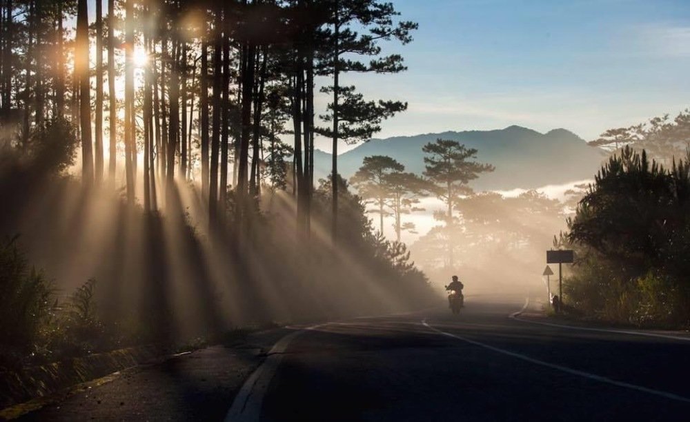 Photograph by Hung The