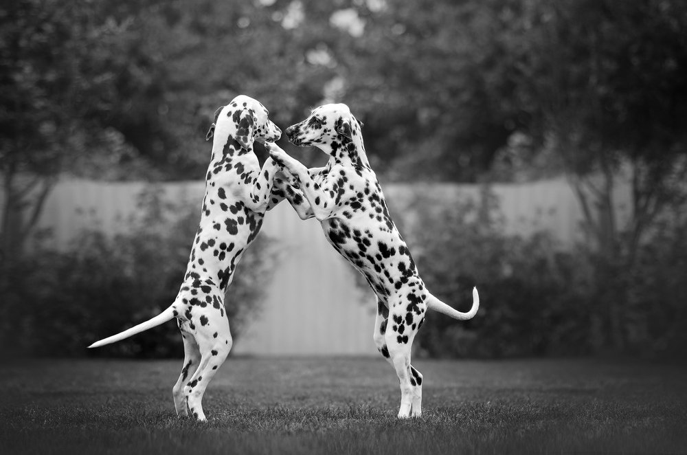 Photograph by Екатерина Кикоть