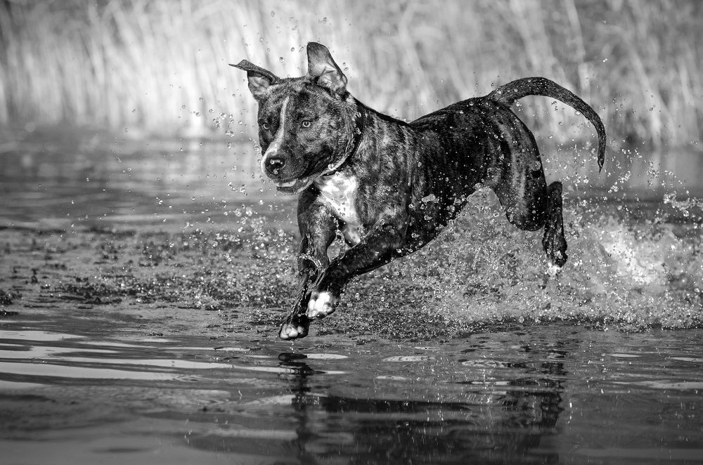 Photograph by Екатерина Кикоть